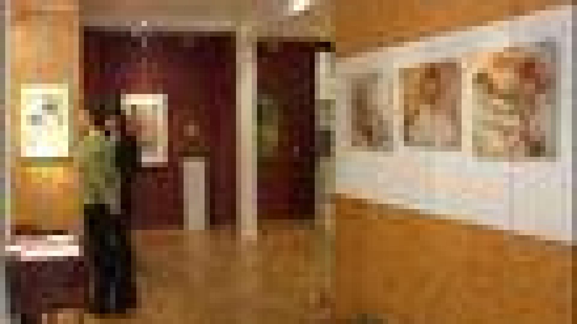 L'arbre à l'honneur galerie Venta